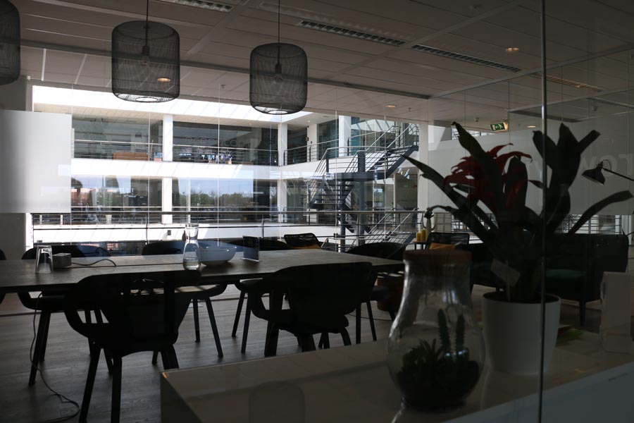 office-expats-netherlands