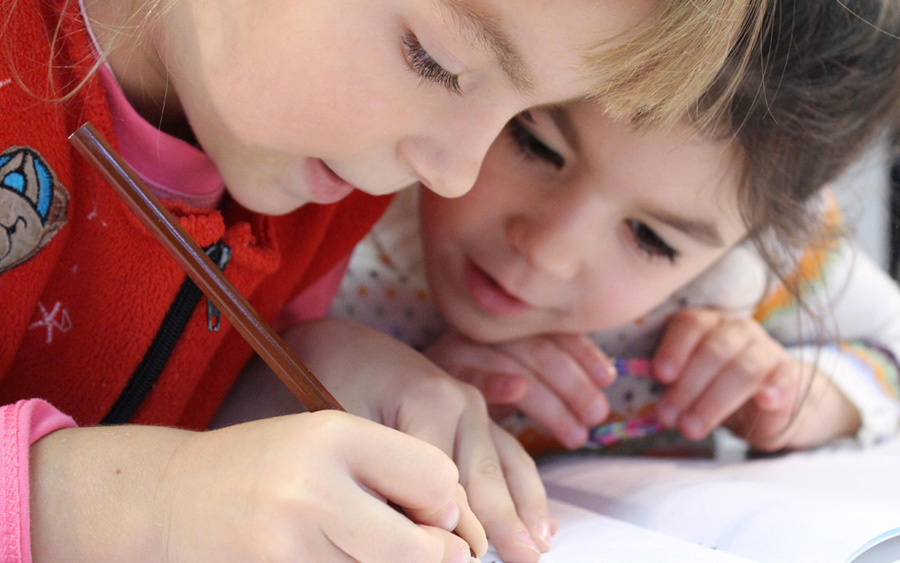primary-schools-netherlands