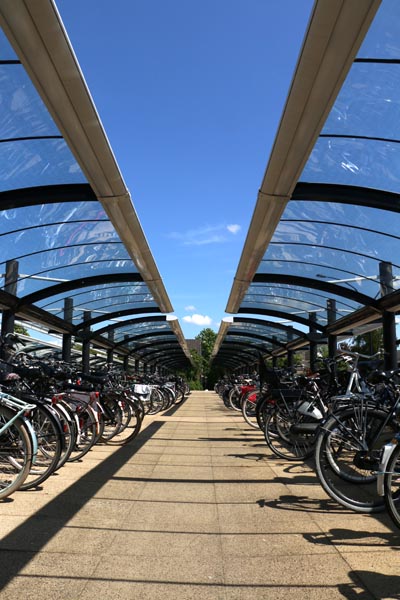 Consultation students Netherlands